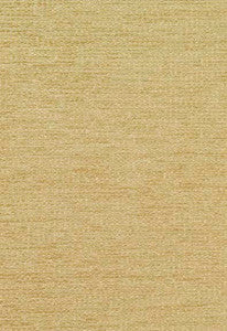 Horizon Chenille Champagne 63652 by Schumacher Fabric