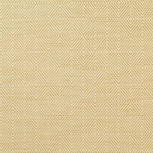 Crystal Weave Champagne 63672 by Schumacher Fabric