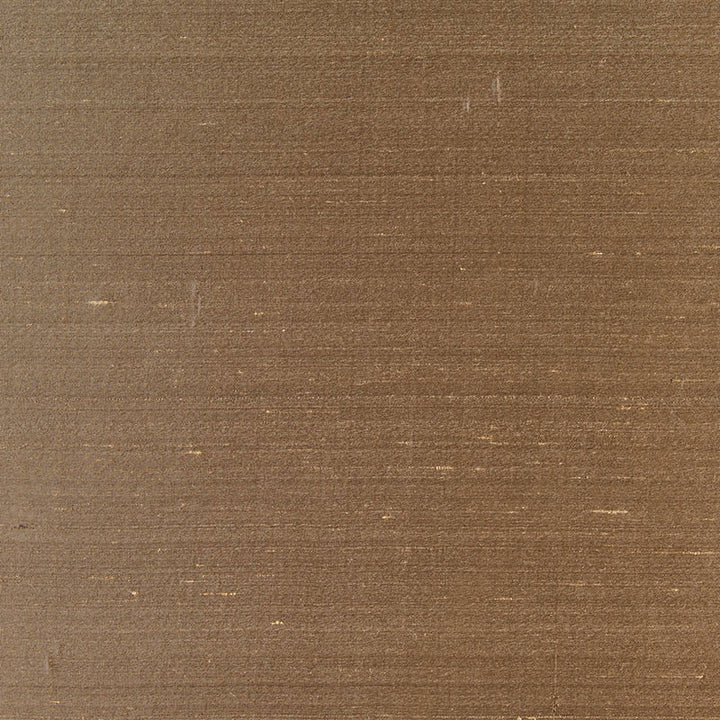 Bellini Silk Antelope 63780 by Schumacher Fabric ESSENTIAL PLAINS / SILK See Sample INDIA NOT APPLICABLE </p><p>Repeat: Horizontal: - and Vertical: - 54" WIDE (137CM) - Fabric Carolina -