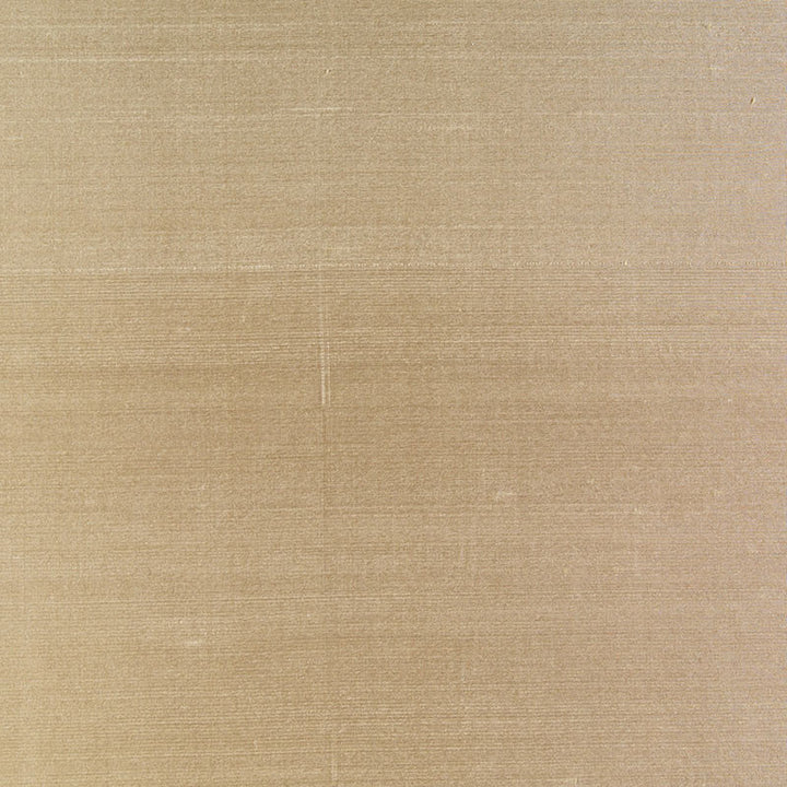 Bellini Silk Pebble 63790 by Schumacher Fabric ESSENTIAL PLAINS / SILK See Sample INDIA NOT APPLICABLE </p><p>Repeat: Horizontal: - and Vertical: - 54" WIDE (137CM) - Fabric Carolina -