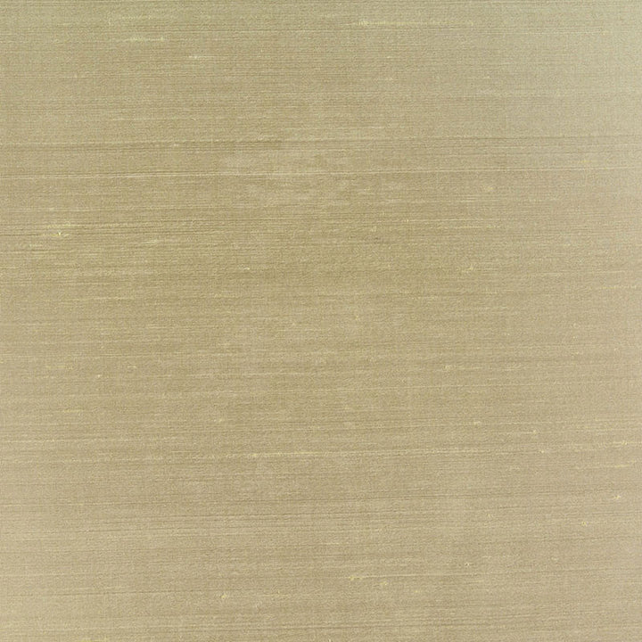 Bellini Silk Celadon 63801 by Schumacher Fabric ESSENTIAL PLAINS / SILK See Sample INDIA NOT APPLICABLE </p><p>Repeat: Horizontal: - and Vertical: - 54" WIDE (137CM) - Fabric Carolina -
