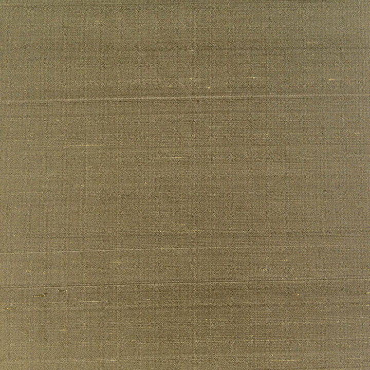Bellini Silk Sage 63802 by Schumacher Fabric ESSENTIAL PLAINS / SILK See Sample INDIA NOT APPLICABLE </p><p>Repeat: Horizontal: - and Vertical: - 54" WIDE (137CM) - Fabric Carolina -