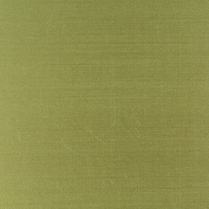 Bellini Silk Sprig 63803 by Schumacher Fabric ESSENTIAL PLAINS / SILK See Sample INDIA NOT APPLICABLE </p><p>Repeat: Horizontal: - and Vertical: - 54" WIDE (137CM) - Fabric Carolina -