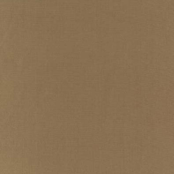 Botticelli Silk Taffeta Sandalwood 63815 by Schumacher Fabric ESSENTIAL PLAINS / SILK See Sample INDIA NOT APPLICABLE </p><p>Repeat: Horizontal: - and Vertical: - 54" WIDE (137CM) - Fabric Carolina -