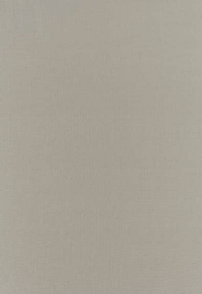 Botticelli Silk Taffeta Fog 63818 by Schumacher Fabric Essential-Plainssilks 100% Silk - Horizontal: - and Vertical: - 54 - Fabric Carolina -