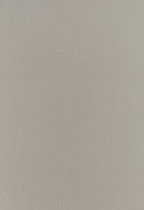Botticelli Silk Taffeta Fog 63818 by Schumacher Fabric