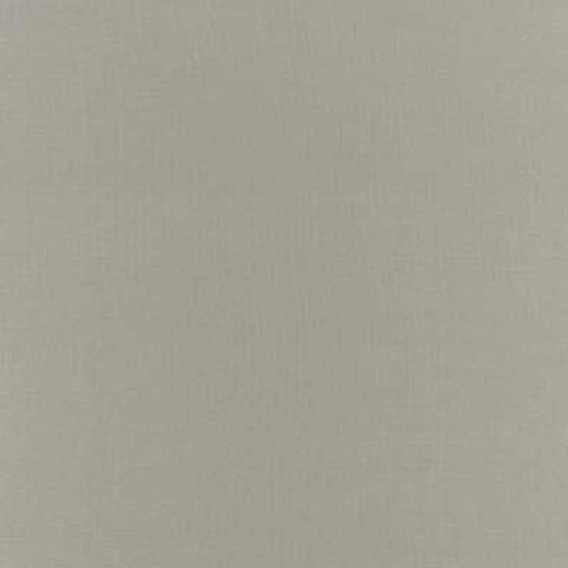 Botticelli Silk Taffeta Fog 63818 by Schumacher Fabric ESSENTIAL PLAINS / SILK See Sample INDIA NOT APPLICABLE </p><p>Repeat: Horizontal: - and Vertical: - 54" WIDE (137CM) - Fabric Carolina -