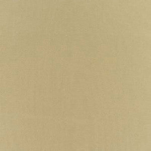 Botticelli Silk Taffeta Moonstone 63819 by Schumacher Fabric