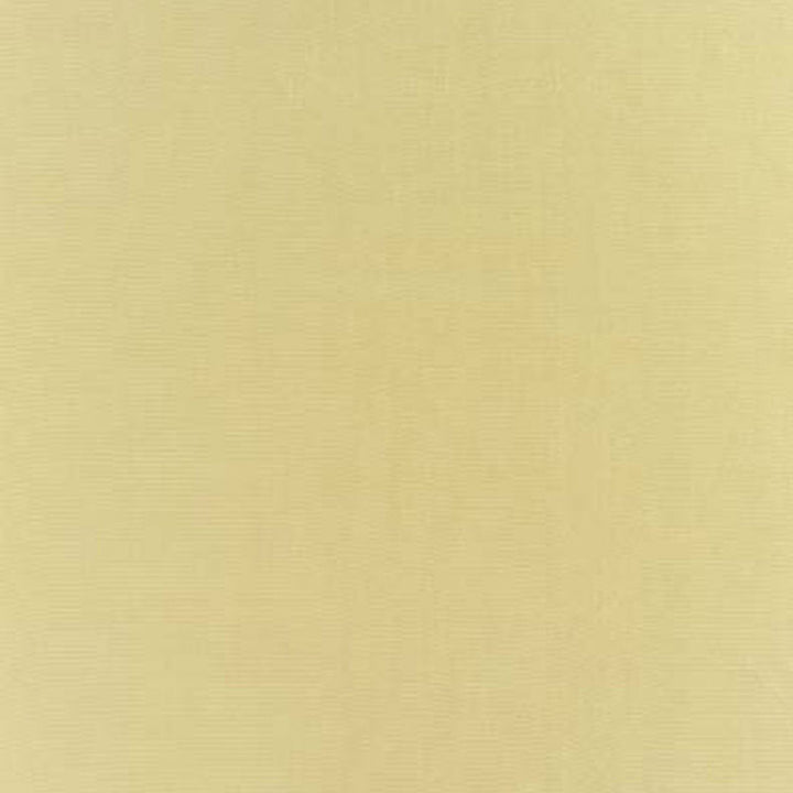 Botticelli Silk Taffeta Willow 63826 by Schumacher Fabric ESSENTIAL PLAINS / SILK See Sample INDIA NOT APPLICABLE </p><p>Repeat: Horizontal: - and Vertical: - 54" WIDE (137CM) - Fabric Carolina -