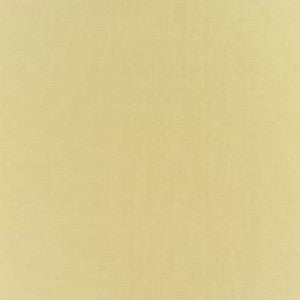 Botticelli Silk Taffeta Willow 63826 by Schumacher Fabric