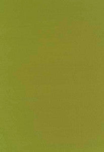 Botticelli Silk Taffeta Apple 63827 by Schumacher Fabric