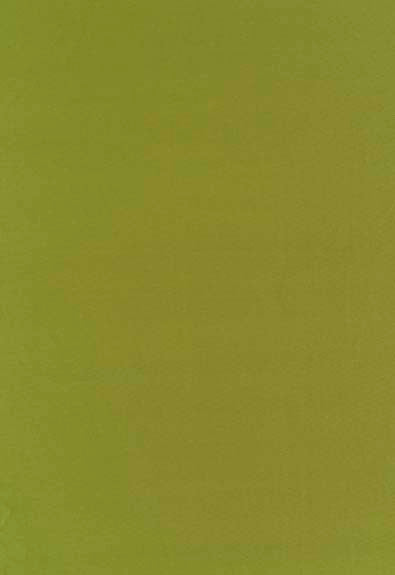 Botticelli Silk Taffeta Apple 63827 by Schumacher Fabric Essential-Plainssilks 100% Silk - Horizontal: - and Vertical: - 54 - Fabric Carolina -