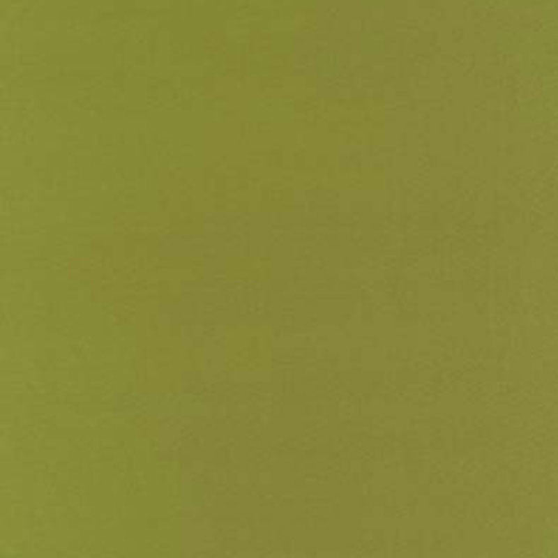 Botticelli Silk Taffeta Apple 63827 by Schumacher Designer Fabric ESSENTIAL PLAINS / SILK See Sample INDIA NOT APPLICABLE </p><p>Repeat: Horizontal: - and Vertical: - 54" WIDE (137CM) - Swanky Fabrics -