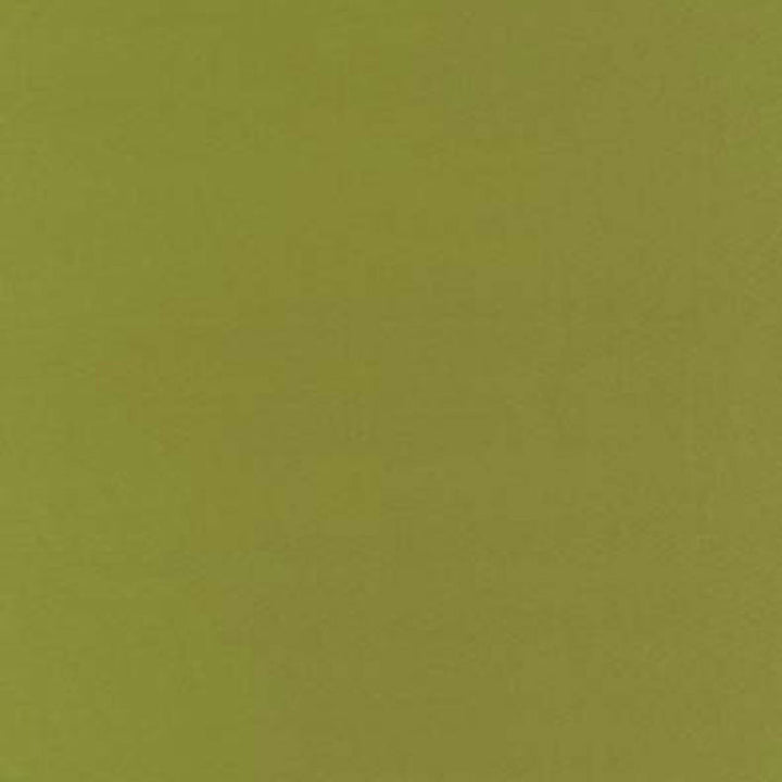 Botticelli Silk Taffeta Apple 63827 by Schumacher Fabric ESSENTIAL PLAINS / SILK SILK 100% INDIA </p><p>Repeat: Horizontal: and Vertical: 54 - Fabric Carolina -