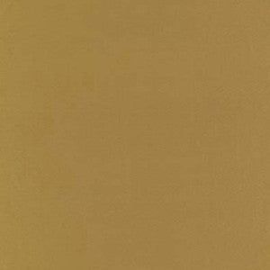 Botticelli Silk Taffeta Saffron 63831 by Schumacher Fabric