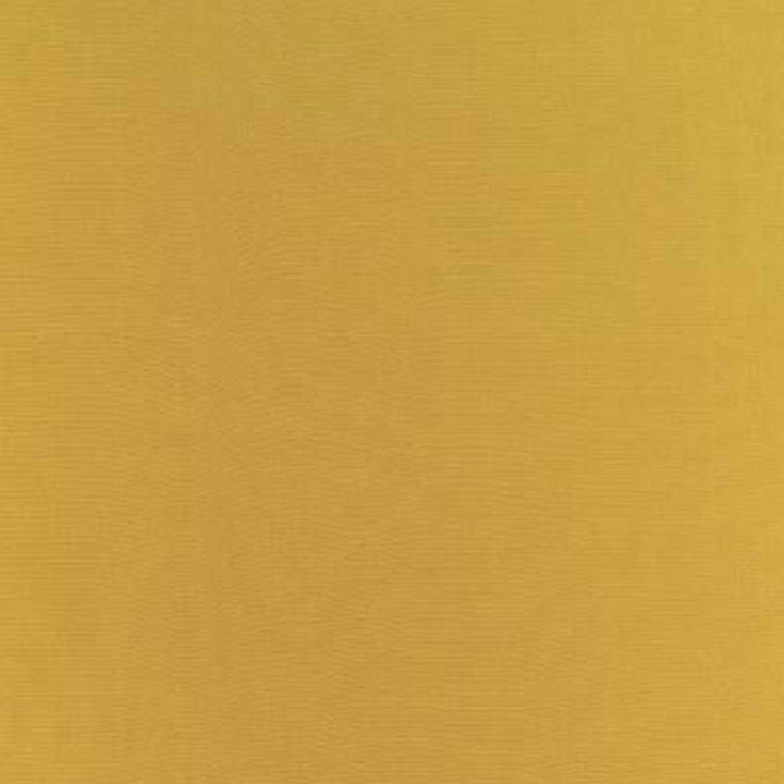 Botticelli Silk Taffeta Chartreuse 63832 by Schumacher Fabric ESSENTIAL PLAINS / SILK See Sample INDIA NOT APPLICABLE </p><p>Repeat: Horizontal: - and Vertical: - 54" WIDE (137CM) - Fabric Carolina -