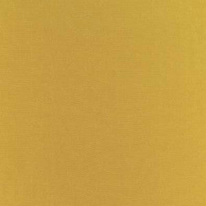 Botticelli Silk Taffeta Chartreuse 63832 by Schumacher Fabric