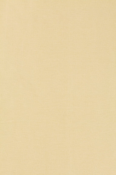Tiepolo Shantung Weave Bone 63841 by Schumacher Fabric Mirage 100% Polyester - Horizontal: - and Vertical: - 54 - Fabric Carolina -