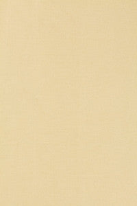 Tiepolo Shantung Weave Bone 63841 by Schumacher Fabric