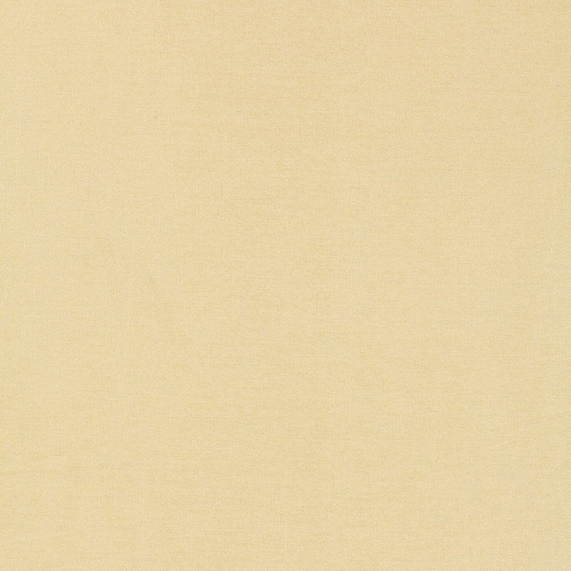 Tiepolo Shantung Weave Bone 63841 by Schumacher Fabric MIRAGE / TEXTURES & PLAINS See Sample INDIA . </p><p>Repeat: Horizontal: - and Vertical: - 54" WIDE (137CM) - Fabric Carolina -