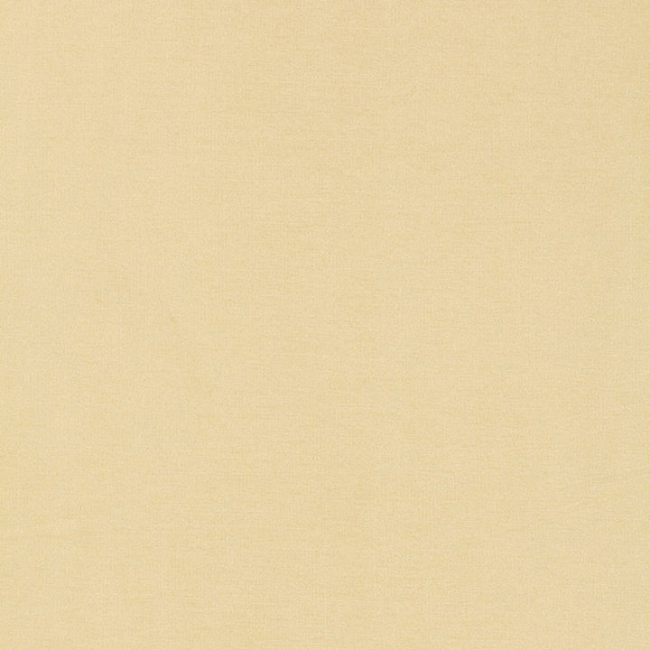 Tiepolo Shantung Weave Bone 63841 by Schumacher Fabric MIRAGE / TEXTURES & PLAINS See Sample INDIA . </p><p>Repeat: Horizontal: - and Vertical: - 54" WIDE (137CM) - Fabric Carolina -