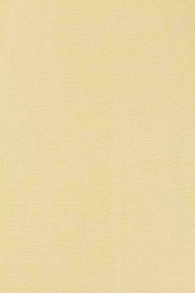 Tiepolo Shantung Weave Ivory 63842 by Schumacher Fabric Mirage 100% Polyester - Horizontal: - and Vertical: - 54 - Fabric Carolina -