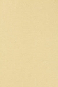 Tiepolo Shantung Weave Ivory 63842 by Schumacher Fabric