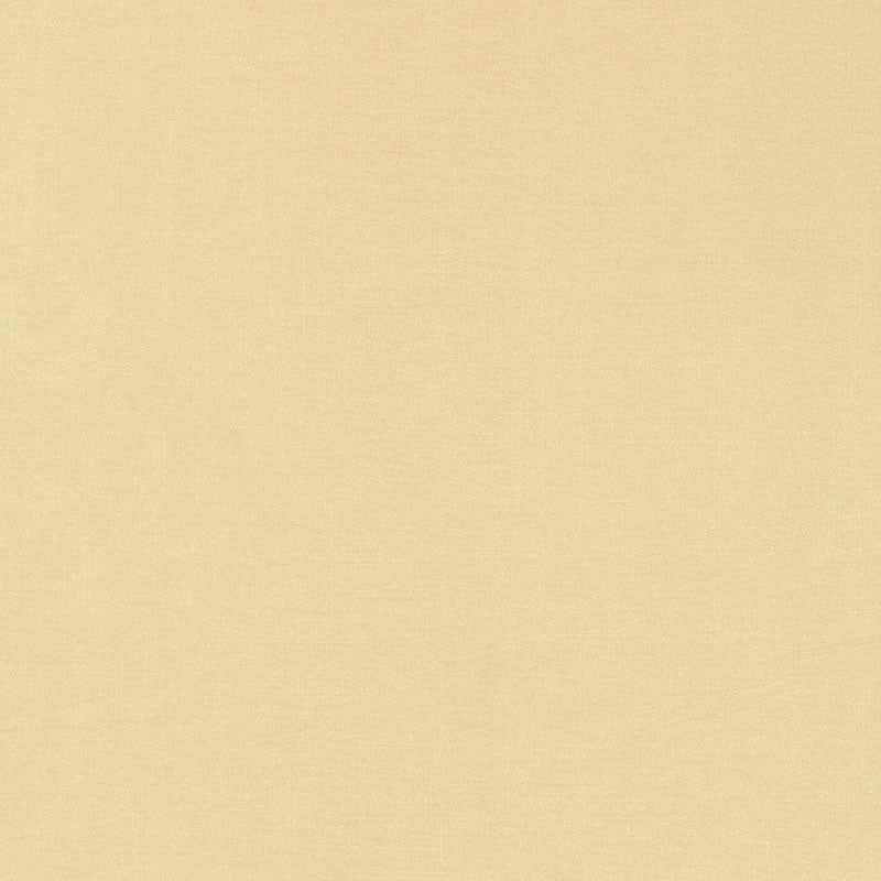 Tiepolo Shantung Weave Ivory 63842 by Schumacher Fabric MIRAGE / TEXTURES & PLAINS See Sample INDIA . </p><p>Repeat: Horizontal: - and Vertical: - 54" WIDE (137CM) - Fabric Carolina -