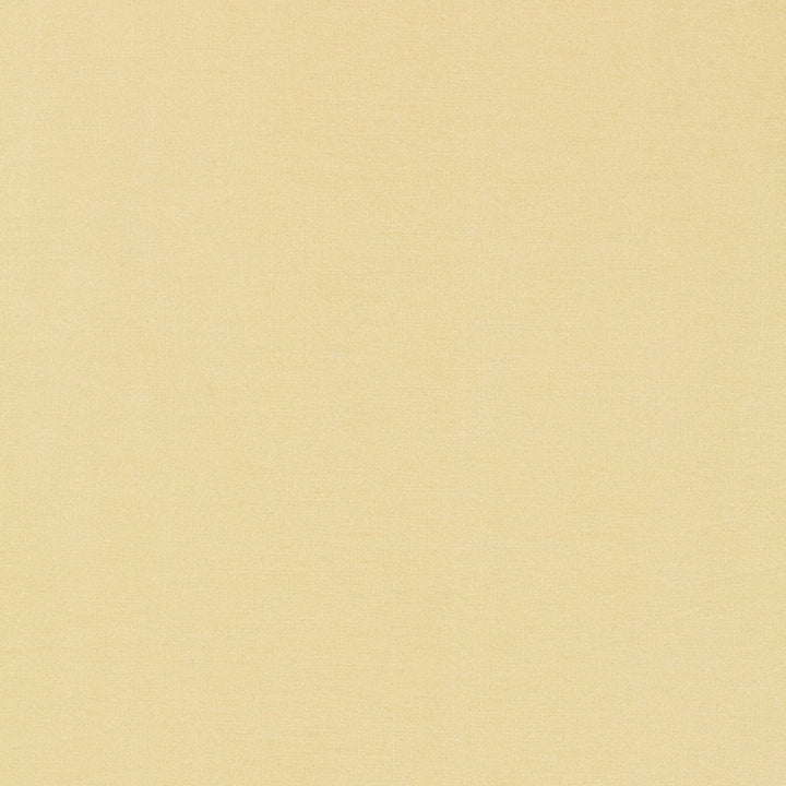 Tiepolo Shantung Weave Ivory 63842 by Schumacher Fabric MIRAGE / TEXTURES & PLAINS See Sample INDIA . </p><p>Repeat: Horizontal: - and Vertical: - 54" WIDE (137CM) - Fabric Carolina -