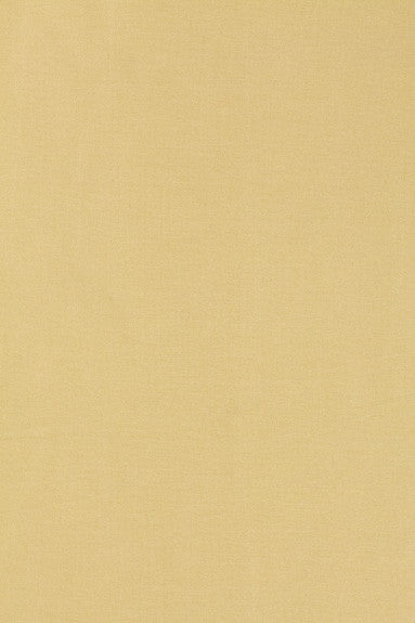 Tiepolo Shantung Weave Champagne 63843 by Schumacher Fabric Mirage 100% Polyester - Horizontal: - and Vertical: - 54 - Fabric Carolina -