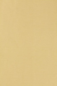 Tiepolo Shantung Weave Champagne 63843 by Schumacher Fabric