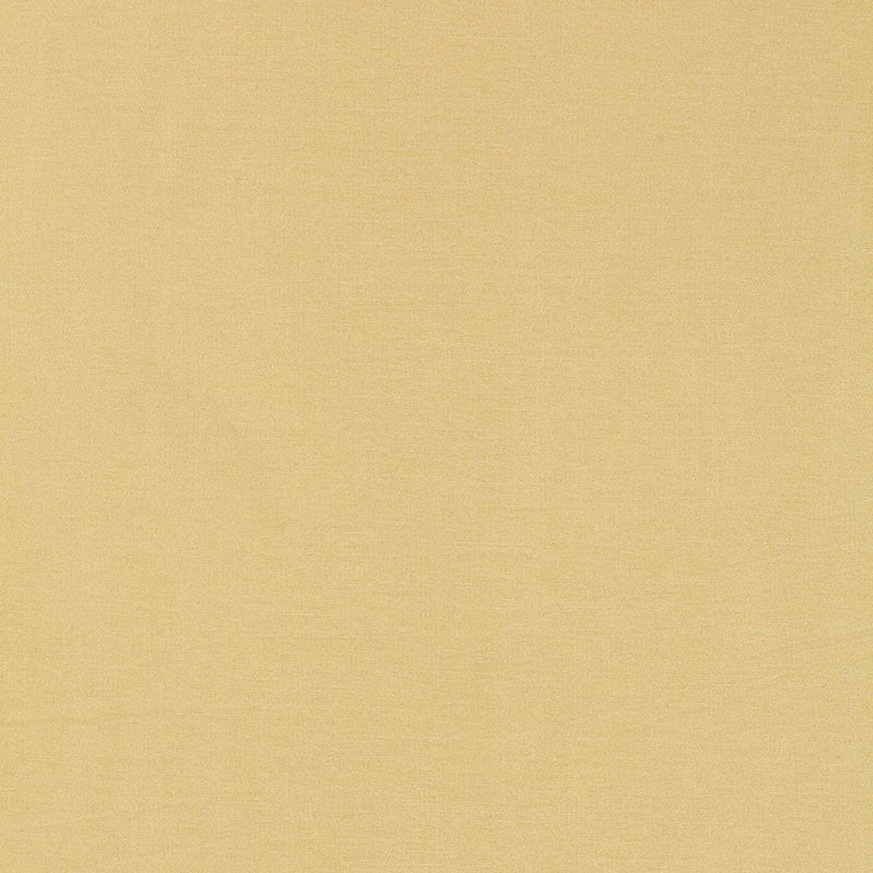 Tiepolo Shantung Weave Champagne 63843 by Schumacher Fabric MIRAGE / TEXTURES & PLAINS POLYESTER 100% INDIA </p><p>Repeat: Horizontal: and Vertical: 54 - Fabric Carolina -