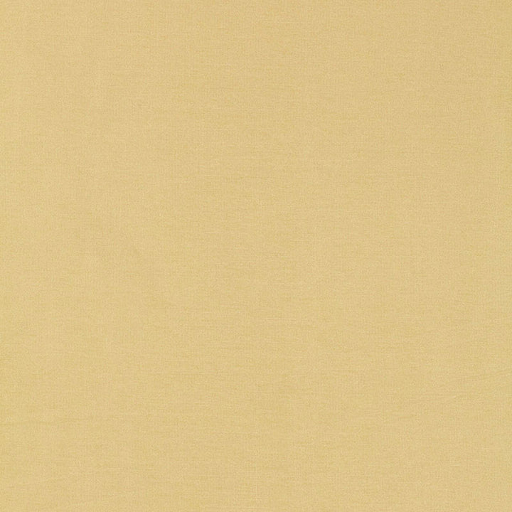 Tiepolo Shantung Weave Champagne 63843 by Schumacher Fabric MIRAGE / TEXTURES & PLAINS See Sample INDIA . </p><p>Repeat: Horizontal: - and Vertical: - 54" WIDE (137CM) - Fabric Carolina -