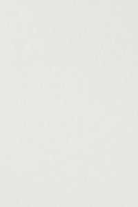 Tiepolo Shantung Weave Snow 63847 by Schumacher Fabric