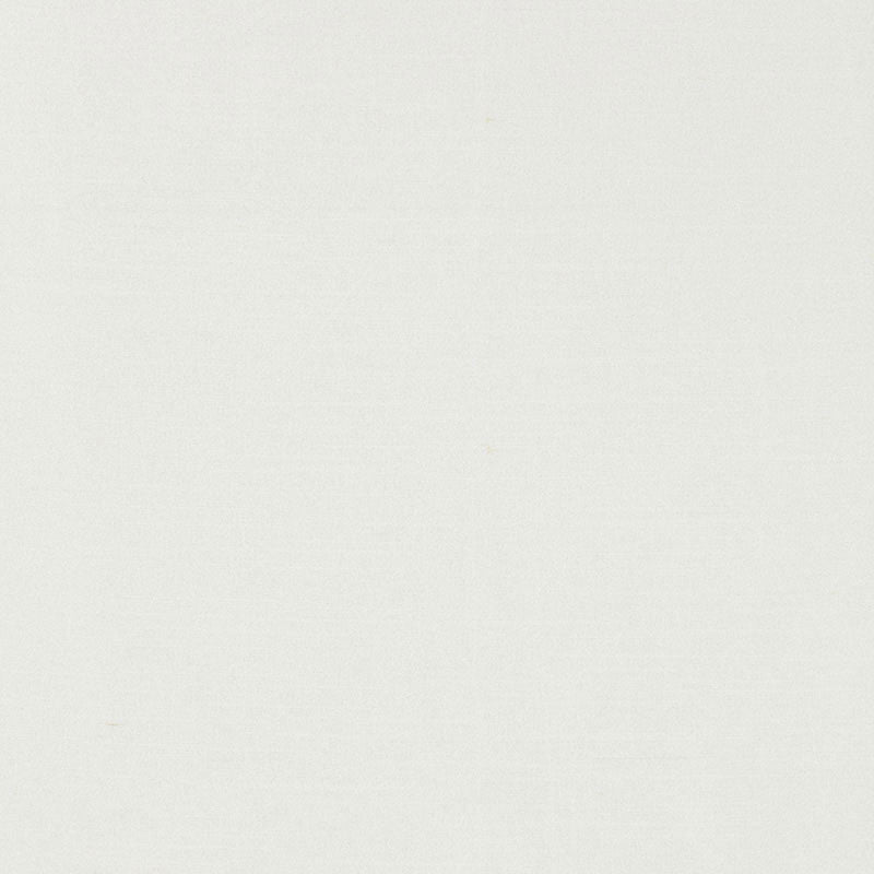 Tiepolo Shantung Weave Snow 63847 by Schumacher Fabric Schumacher Fabric Tiepolo Shantung Weave Snow 63847Fabric POLYESTER 100% INDIA </p><p>Repeat: H: , V: 54 - Fabric Carolina -