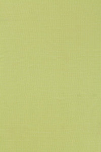 Tiepolo Shantung Weave Limeade 63866 by Schumacher Fabric