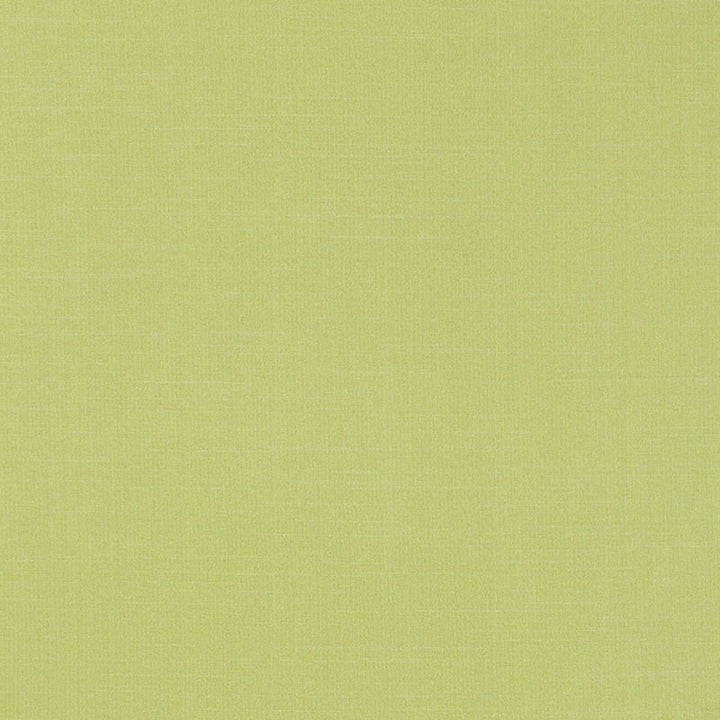 Tiepolo Shantung Weave Limeade 63866 by Schumacher Fabric MIRAGE / TEXTURES & PLAINS POLYESTER 100% INDIA </p><p>Repeat: Horizontal: and Vertical: 54 - Fabric Carolina -