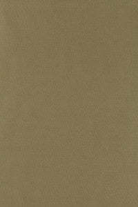 Tiepolo Shantung Weave Sage 63867 by Schumacher Fabric