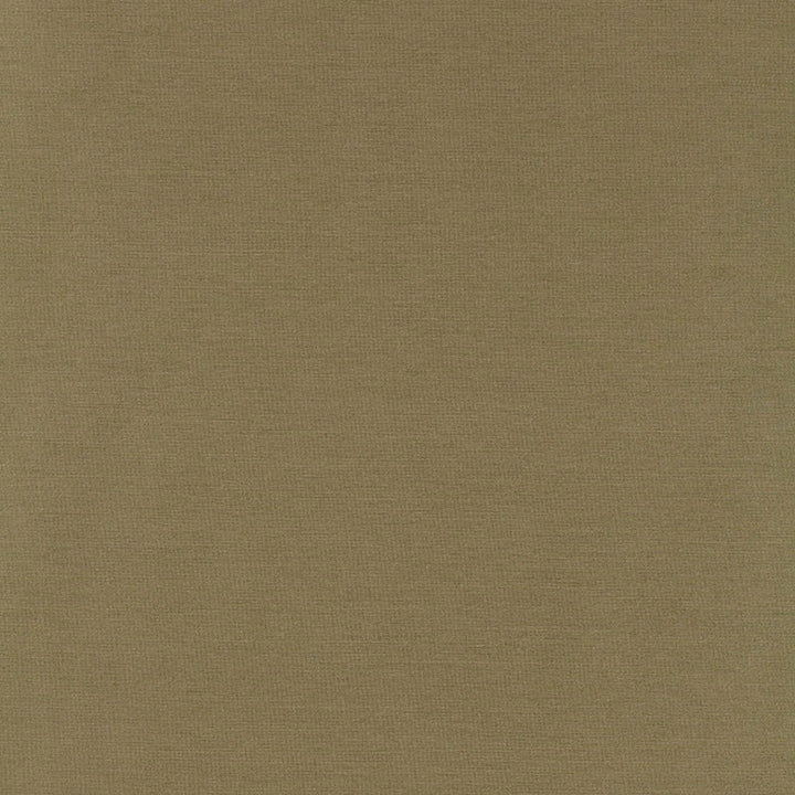 Tiepolo Shantung Weave Sage 63867 by Schumacher Fabric MIRAGE / TEXTURES & PLAINS POLYESTER 100% INDIA </p><p>Repeat: Horizontal: and Vertical: 54 - Fabric Carolina -