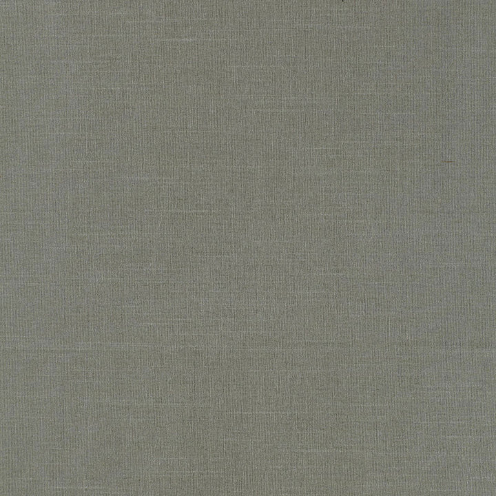 Tiepolo Shantung Weave Mineral 63869 by Schumacher Fabric MIRAGE / TEXTURES & PLAINS See Sample INDIA . </p><p>Repeat: Horizontal: - and Vertical: - 54" WIDE (137CM) - Fabric Carolina -