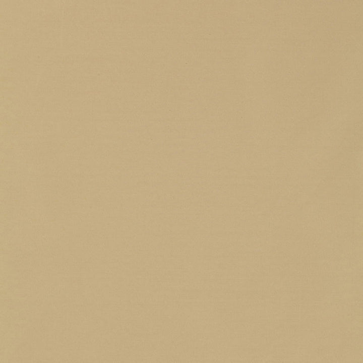 Masaccio Taffeta Putty 63900 by Schumacher Fabric MIRAGE / TEXTURES & PLAINS See Sample INDIA . </p><p>Repeat: Horizontal: - and Vertical: - 54" WIDE (137CM) - Fabric Carolina -