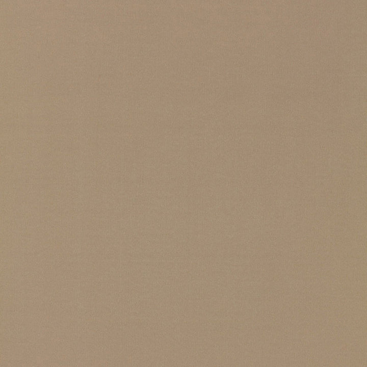 Masaccio Taffeta Fawn 63901 by Schumacher Fabric Schumacher Fabric Masaccio Taffeta Fawn 63901Fabric POLYESTER 100% INDIA </p><p>Repeat: H: , V: 54 - Fabric Carolina -