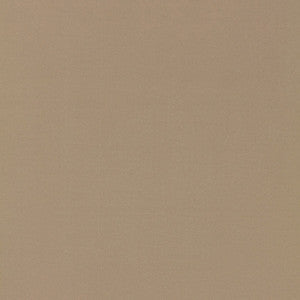 Masaccio Taffeta Fawn 63901 by Schumacher Fabric