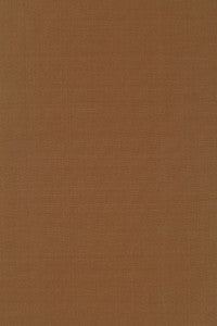 Masaccio Taffeta Antelope 63902 by Schumacher Fabric