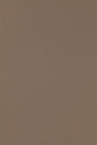 Masaccio Taffeta Moonstone 63906 by Schumacher Fabric