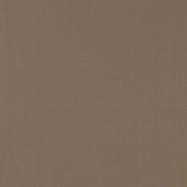 Masaccio Taffeta Moonstone 63906 by Schumacher Fabric MIRAGE / TEXTURES & PLAINS POLYESTER 100% INDIA </p><p>Repeat: Horizontal: and Vertical: 54 - Fabric Carolina -