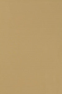Masaccio Taffeta Chamois 63908 by Schumacher Fabric