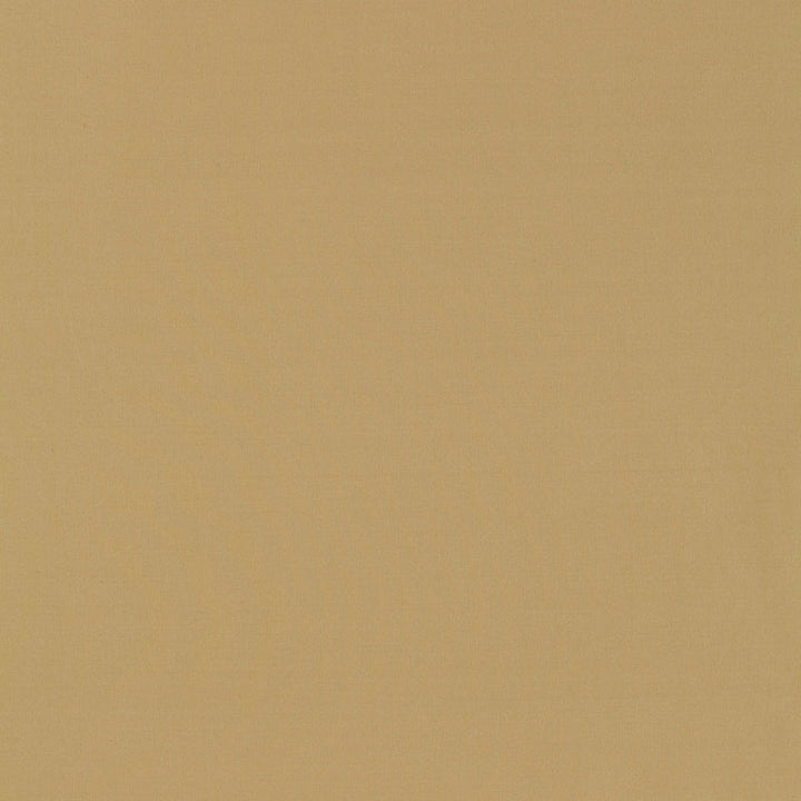 Masaccio Taffeta Chamois 63908 by Schumacher Fabric MIRAGE / TEXTURES & PLAINS See Sample INDIA . </p><p>Repeat: Horizontal: - and Vertical: - 54" WIDE (137CM) - Fabric Carolina -