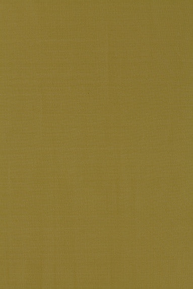 Masaccio Taffeta Lichen 63910 by Schumacher Fabric Mirage 100% Polyester - Horizontal: - and Vertical: - 54 - Fabric Carolina -
