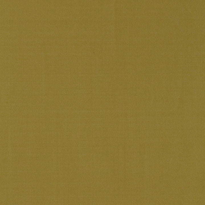 Masaccio Taffeta Lichen 63910 by Schumacher Fabric MIRAGE / TEXTURES & PLAINS See Sample INDIA . </p><p>Repeat: Horizontal: - and Vertical: - 54" WIDE (137CM) - Fabric Carolina -